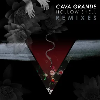 Hollow Shell Remixes by Cava Grande