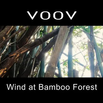 Wind at Bamboo Forest by VOOV