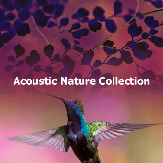 Acoustic Nature Collection by ASMR Birds and Forest Nature Sounds