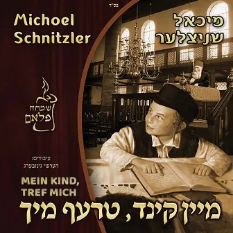 Mein Kind, Tref Mich by Michoel Schnitzler