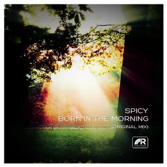 Born in the Morning by Spicy