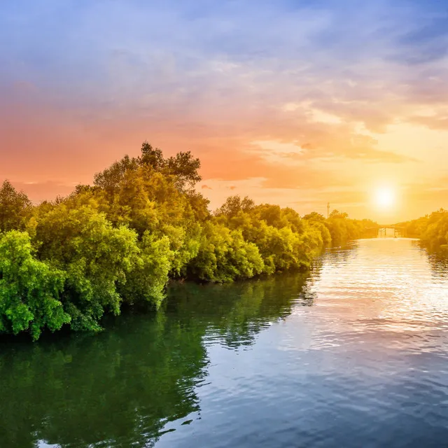 Water's Serenity: River's Harmonious Choir