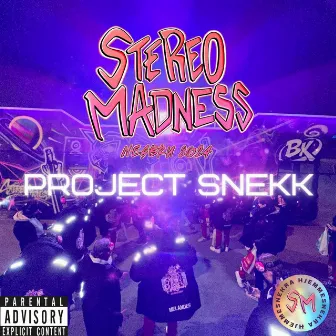 Project: Snekk by RZ