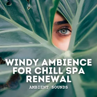 Ambient Sounds: Windy Ambience for Chill Spa Renewal by Spa Music Playlist