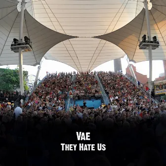 They Hate Us by Vae