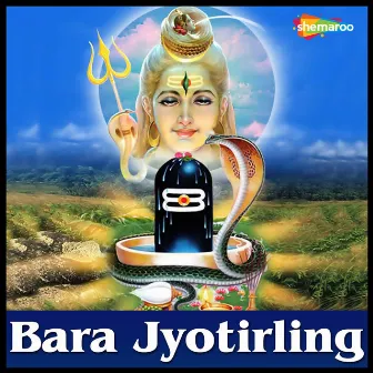 Bara Jyotirling by Kalyani S