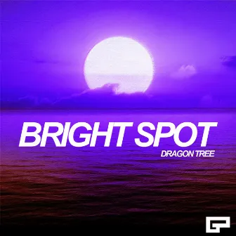 Bright Spot by Dragon Tree