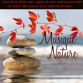 Musique nature – Bruit de la pluie, mer, vague et vent, animaux et forêt et chant des oiseaux pour détente et relax by 