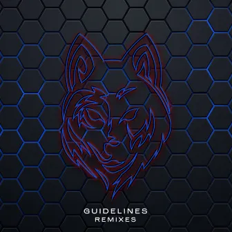 Guidelines (Remixes) by Benjamin