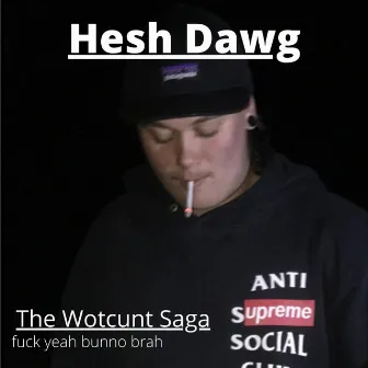 The Wotcunt Series by HESH