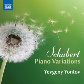 Schubert: Piano Variations by Yevgeny Yontov