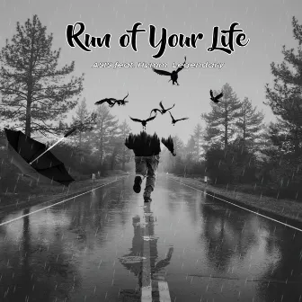 Run of Your Life by Asis