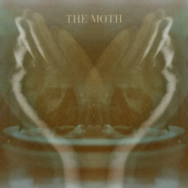 The Moth