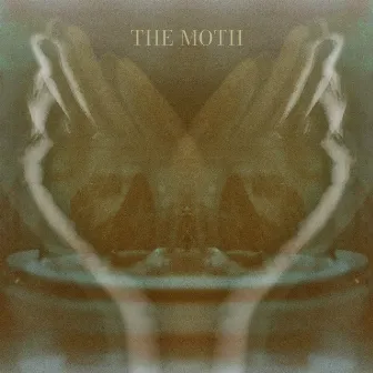 The Moth by deary