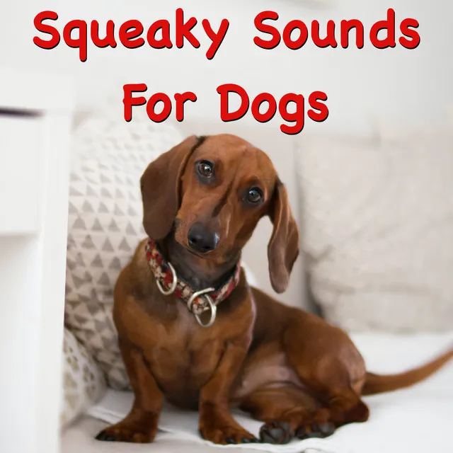 Crazy Sounds For Puppy Dog Play