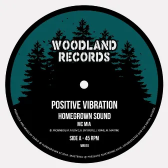 Positive Vibration by HomeGrown Sound