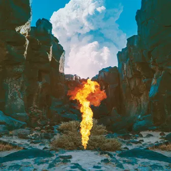 Migration by Bonobo