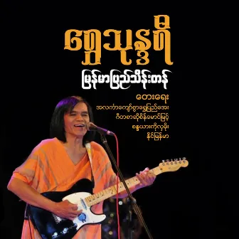 Shwe Thonedayi by Myanmar Pyi Thein Tan