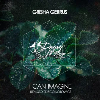 I Can Imagine by Grisha Gerrus