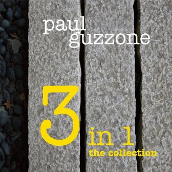 3 in 1: The Collection by Paul Guzzone