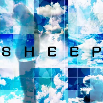 sheep by Daisuke Maeda