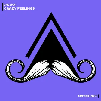 Crazy Feelings (Radio-Edit) by Howk