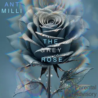 The Grey Rose by Ant Milli