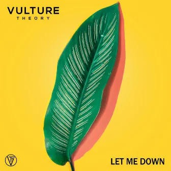 Let Me Down by Vulture Theory