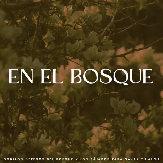 En El Bosque: Sonidos Serenos Del Bosque Y Los Pájaros Para Sanar Tu Alma by Música de Lectura Relajante