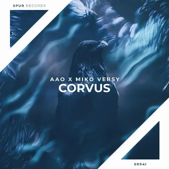 Corvus by AAO