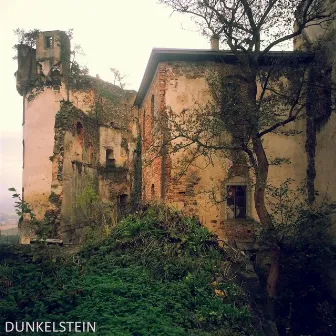 Dunkelstein by Thomas Richter