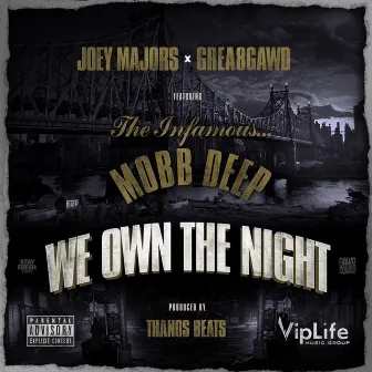 We Own The Night (feat. Mobb Deep) by Joey Majors