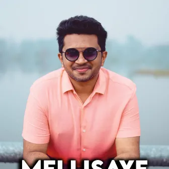 Mellisaye by Nikhil mathew