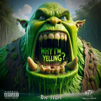 Why Im Yelling ? by Btf Nate