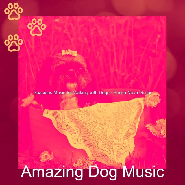 Spacious Music for Waking with Dogs - Bossa Nova Guitar