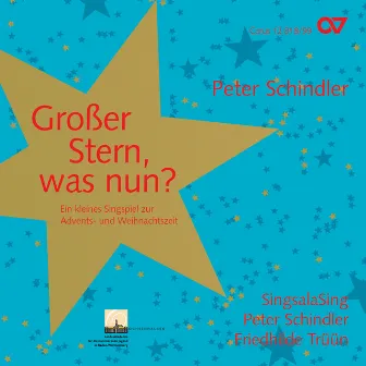 Peter Schindler: Großer Stern, was nun? by Peter Schindler