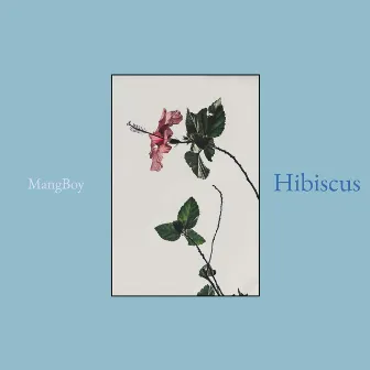 Hibiscus by MangBoy