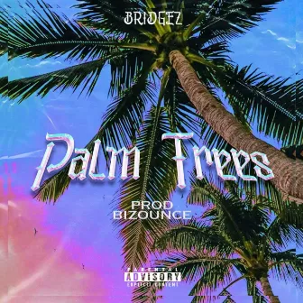 Palm Trees by Bridgez