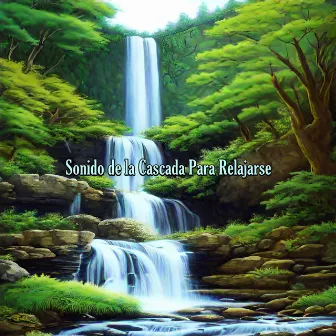 Sonido de la Cascada Para Relajarse by Cascada en el Bosque