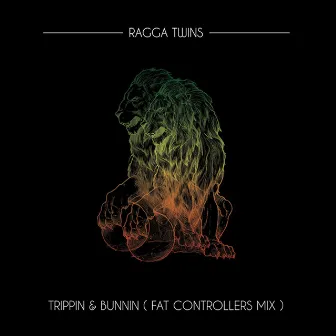 Trippin & Bunnin (Fat Controller Mix) by Ragga Twins