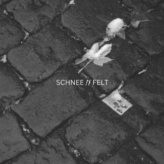 Schnee // Felt by Benjamin Drees