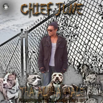 The Alpha Male by Chief June