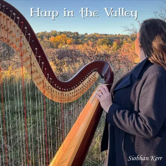 Harp in the Valley by Siobhan Kerr