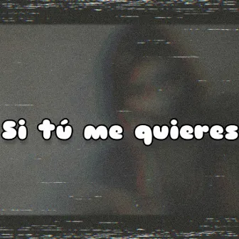 Si Tú Me Quieres by Shick Lake