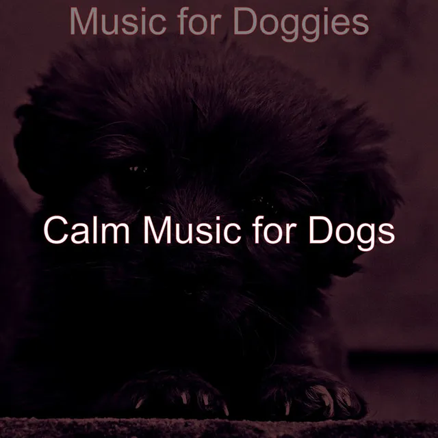 Modern Music for Relaxing Dogs