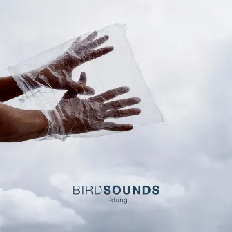 Bird Sounds by Letung