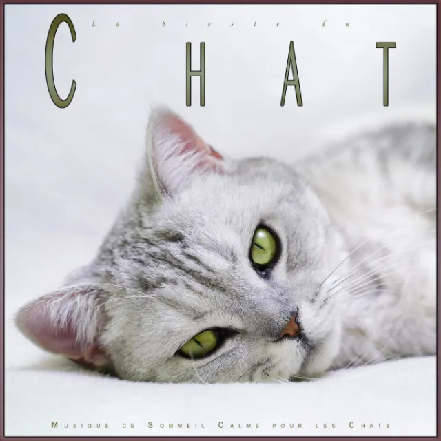 La Meilleure Musique D'endormissement pour Les Chats