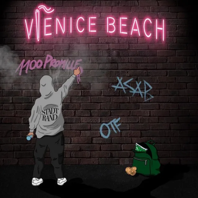 Vienice Beach