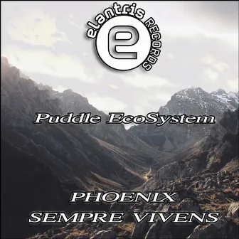 Phoenix by Puddle EcoSystem