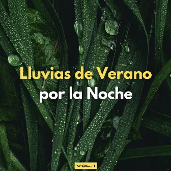 Lluvias De Verano Por La Noche Vol. 1 by ASMR para dormir